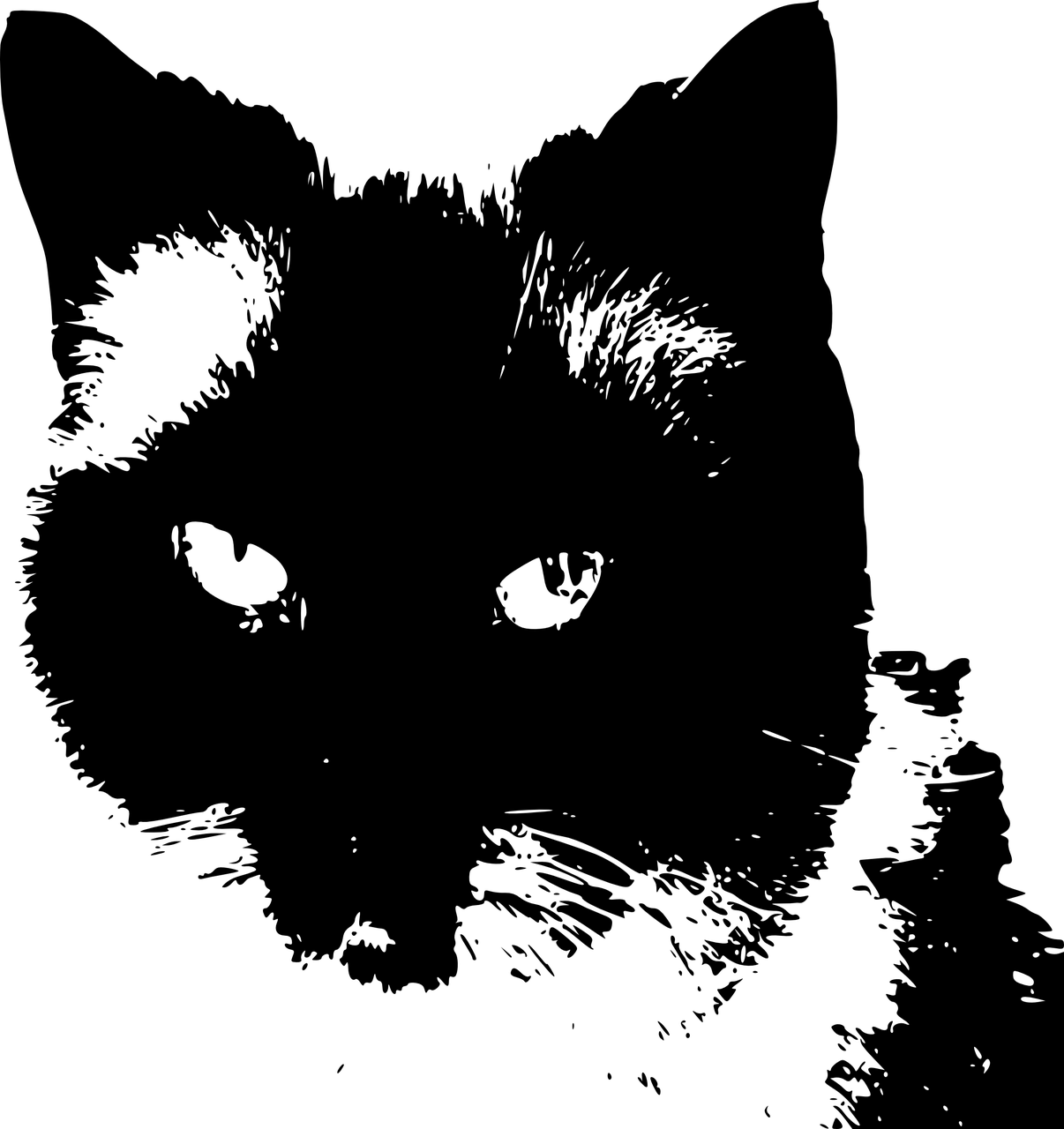 最新黑色背景设计趋势与美学探索