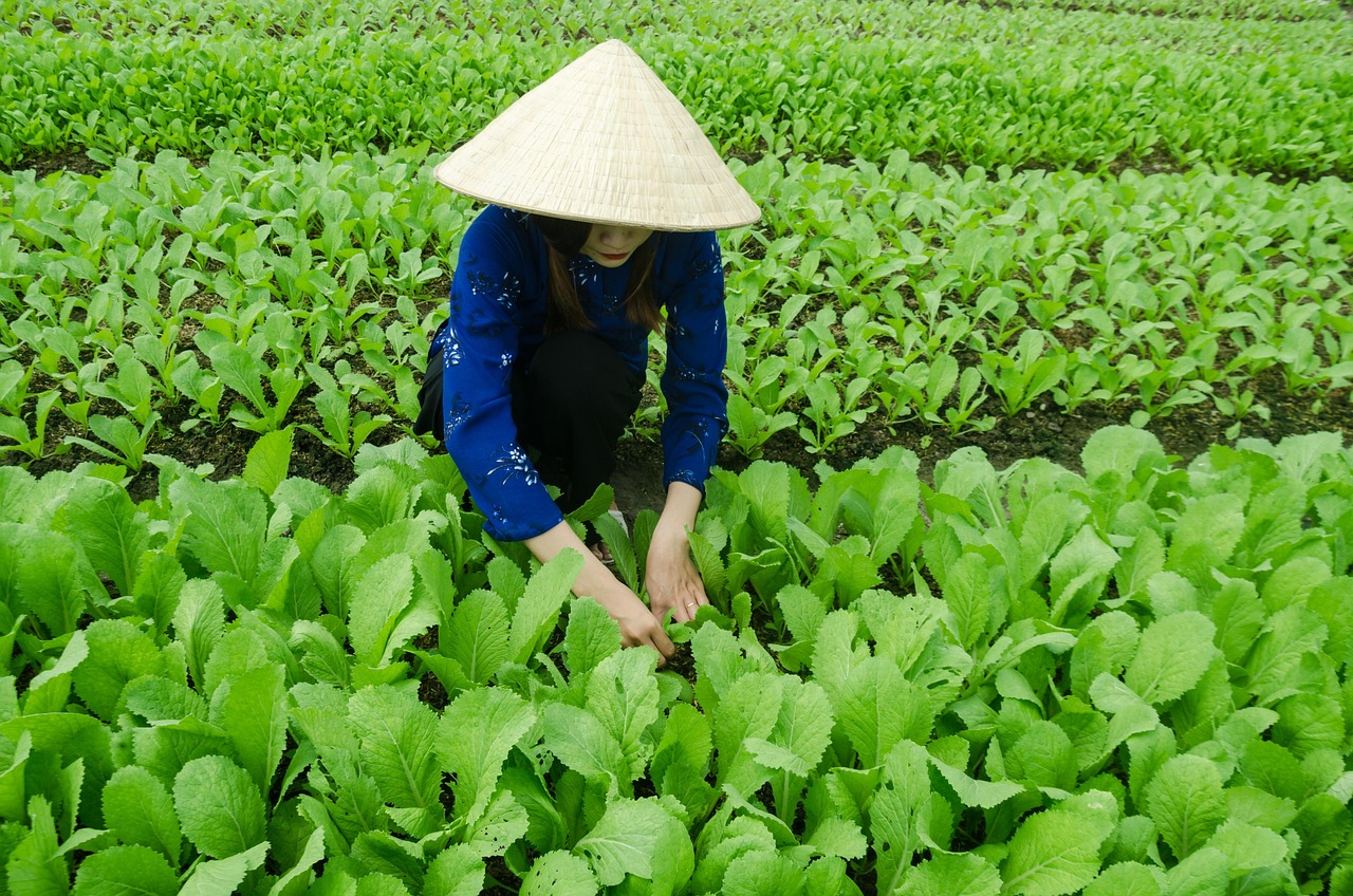 走进四月，良乡北五村最新动态揭晓